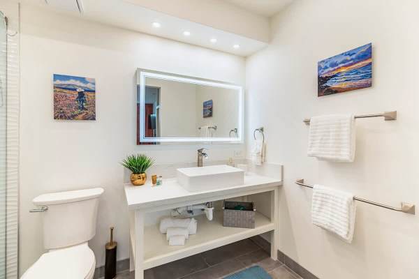 Bathroom ensuite with walk in shower