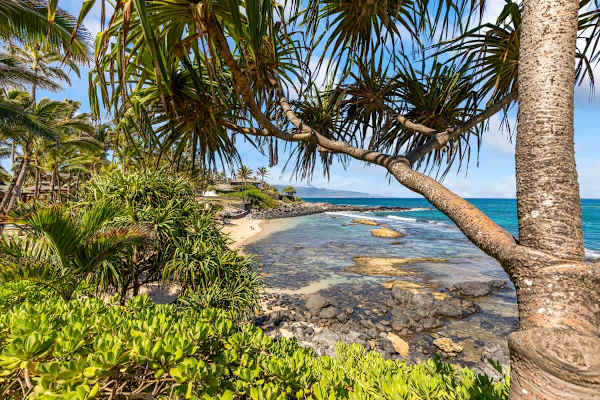 Mama's Fish House Beach, just 2 walking minutes from the Condo