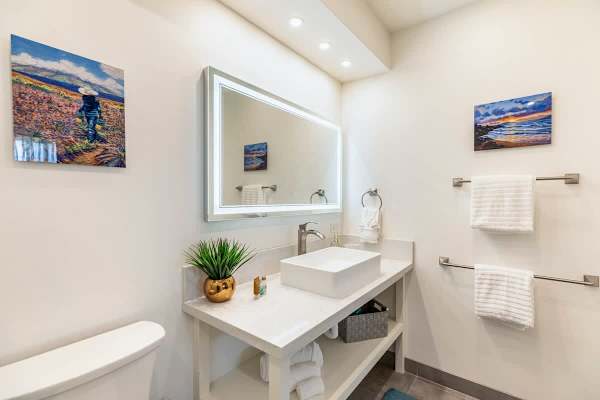 Bathroom ensuite with walk in shower