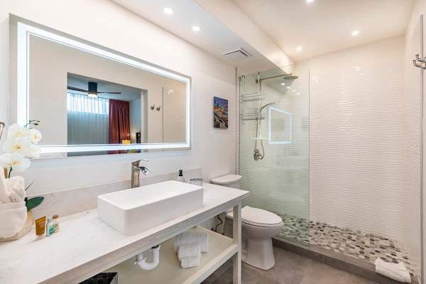 Relax and refresh in the spa-like bathroom, complete with a modern vanity, a lighted mirror, and a spacious walk-in shower.