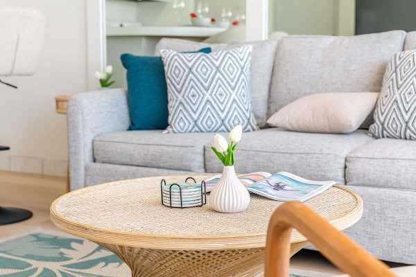 coffee table and pull-out sleeper sofa