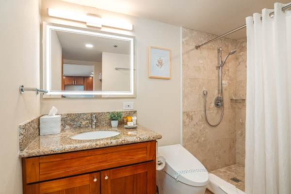 The second bathroom with walk-in shower and vanity and cabinet.