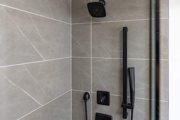 Multifunction shower