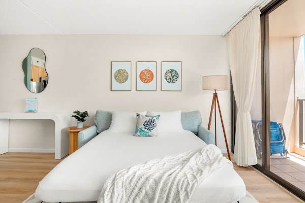 A pull-out sleeper sofa in the living room, as an additional bed.