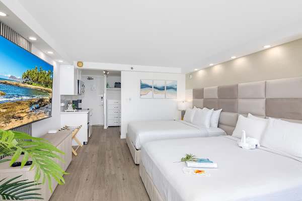 Overview of your newly renovated studio condo.