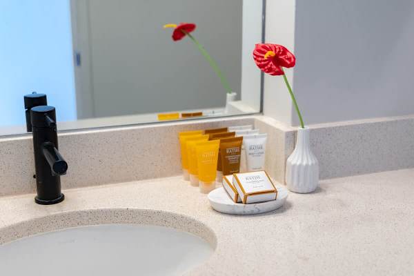 Bathroom details