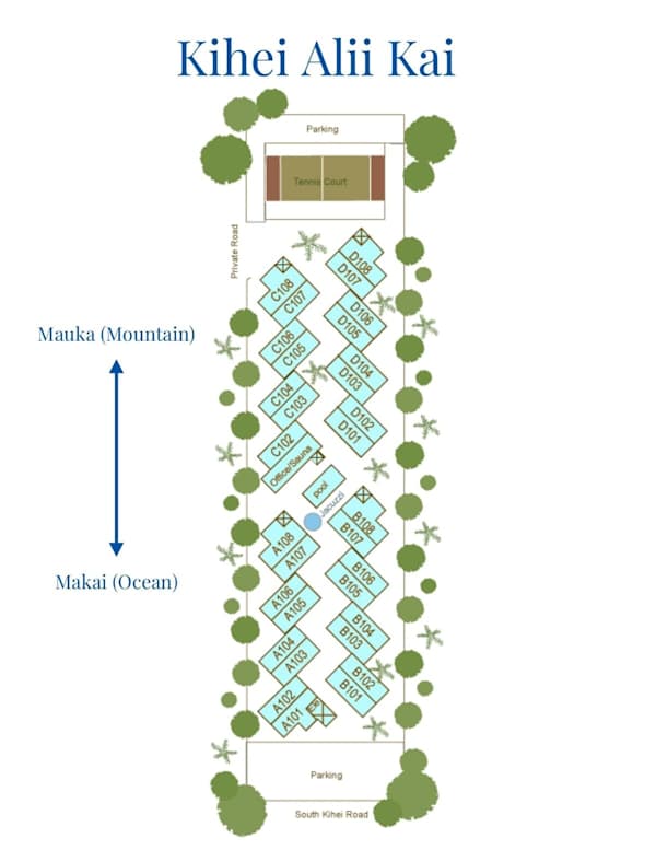Aufbau des Komplexes