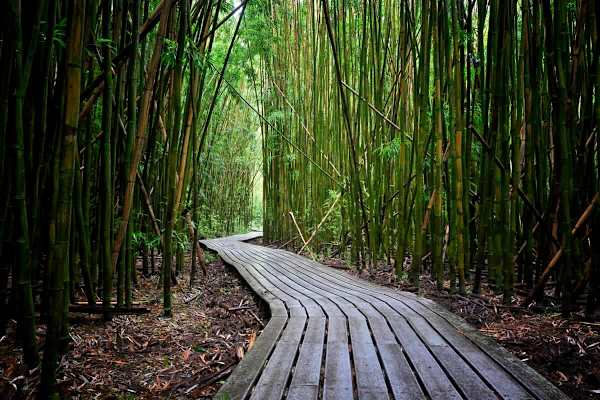 Explore Maui!