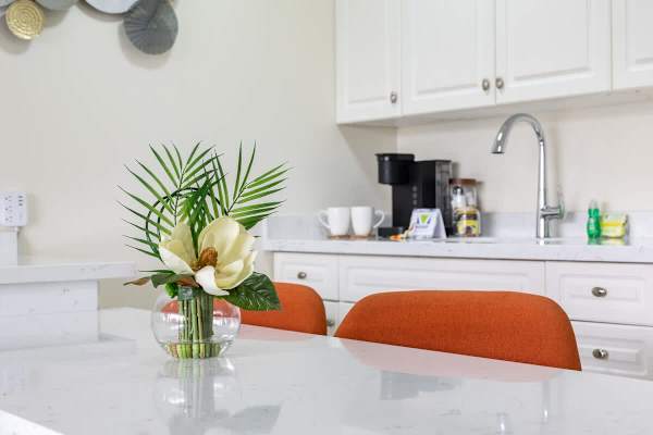 Fully-equipped kitchen