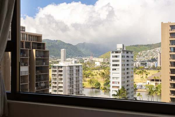 View from the bedroom
