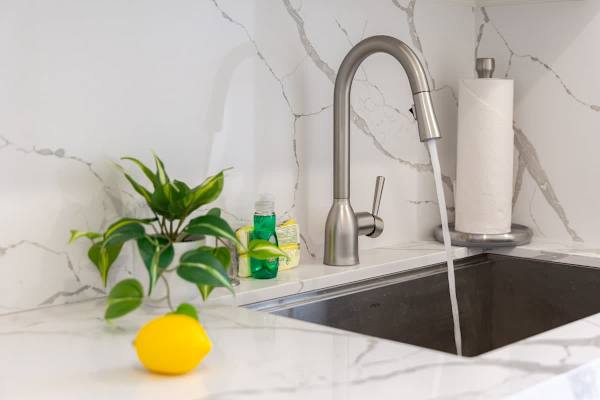 Kitchen faucet and sink