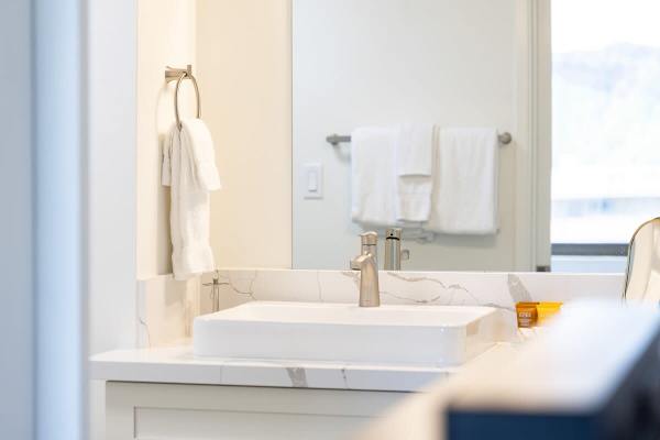 Bathroom details