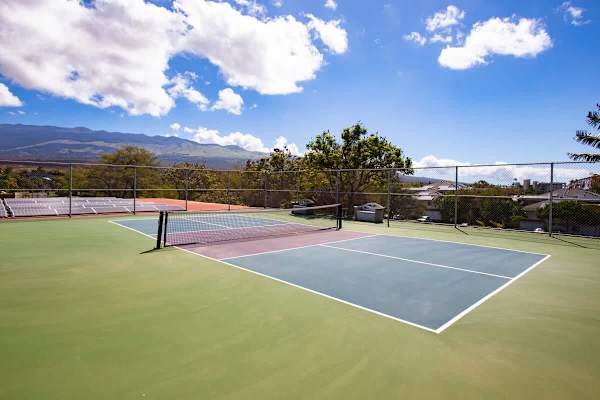 Pickleball court