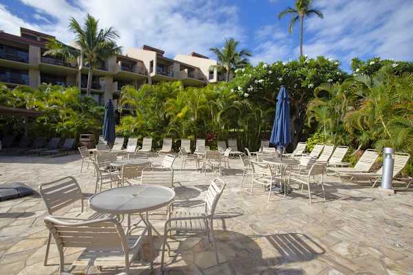 Sun loungers