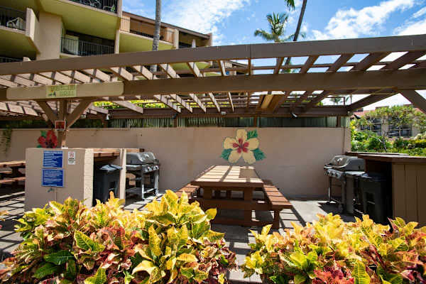 BBQ and Picnic Area