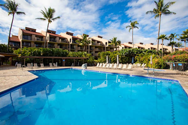 Refresh and have a dip in the large swimming pool!