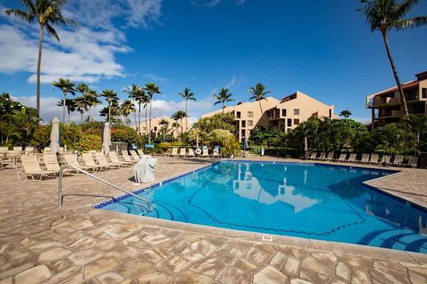 Refresh and have a dip in the large swimming pool!
