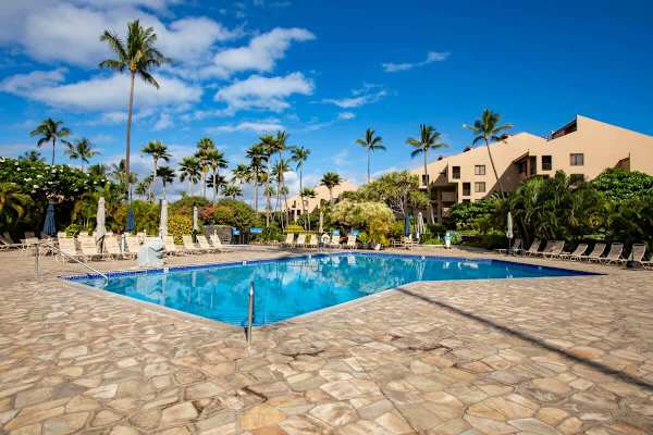 Refresh and have a dip in the large swimming pool!