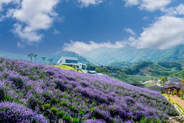 Explore the beauty of Maui