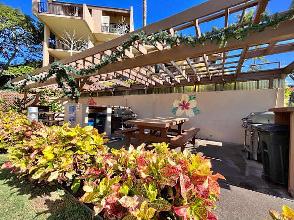 BBQ and Picnic area