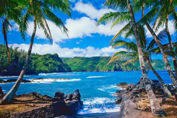 Explore the beauty of Maui