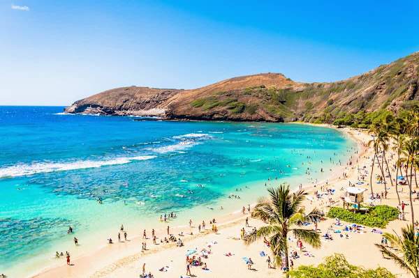 You're just moments away from experiencing breathtaking beaches and the vibrant energy of Waikiki! Book your Hawaiian escape today and dive into paradise!