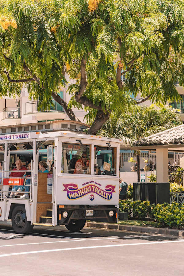 Explore all the wonders of Waikiki with ease! The Waikiki Trolley stops right nearby means you can effortlessly discover local attractions and stunning sights, making your Hawaiian vacation truly seamless and unforgettable.