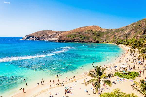 You're just moments away from experiencing breathtaking beaches and the vibrant energy of Waikiki! Book your Hawaiian escape today and dive into paradise!