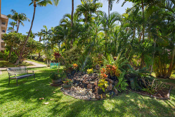 Wander through the beautifully maintained grounds, featuring lush tropical landscaping, swaying palm trees, a decorative rock garden feature, and a secluded bench perfect for relaxing in the shade.