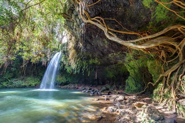 Explore the beauty of Maui