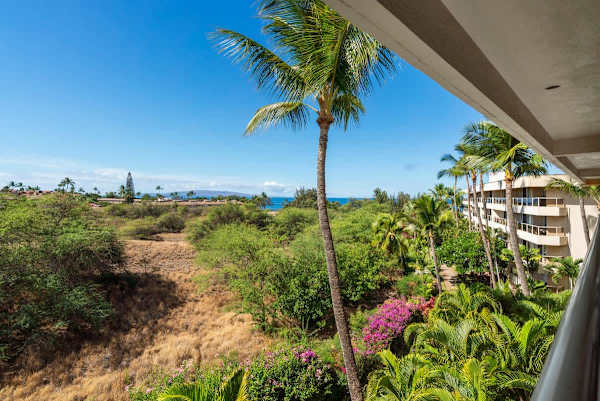 Wake up to a gorgeous tropical view from your balcony, featuring a towering palm tree, lush green and blooming foliage, and a captivating glimpse of the ocean and distant islands.