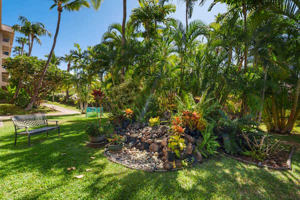Wander through the beautifully maintained grounds, featuring lush tropical landscaping, swaying palm trees, a decorative rock garden feature, and a secluded bench perfect for relaxing in the shade.