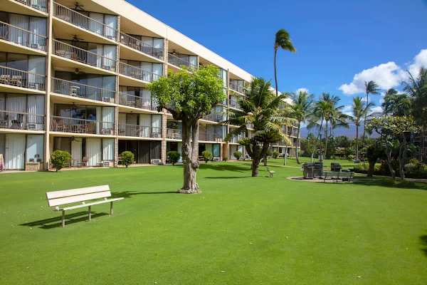 Relax on the immaculate, sprawling green lawn right outside, surrounded by tropical trees and offering easy access to the resort's outdoor grills.