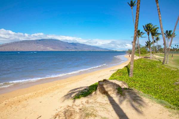 Have a great beach day while enjoying the magnificent view of the West Maui Mountains across the sparkling Pacific Ocean.