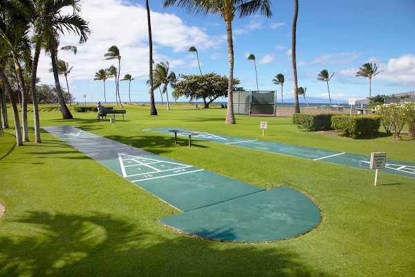 Enjoy a friendly game on the outdoor shuffleboard courts, perfectly nestled on the sunny green lawn among the swaying palm trees with ocean views in the distance.
