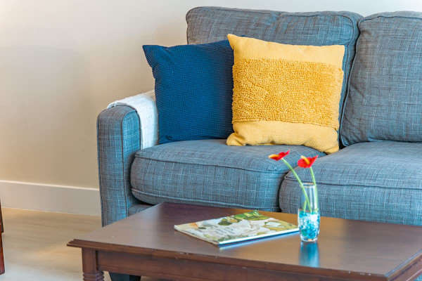 sleeper sofa and coffee table