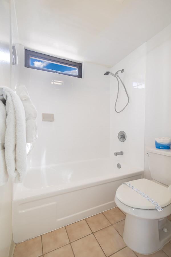 Bathtub shower