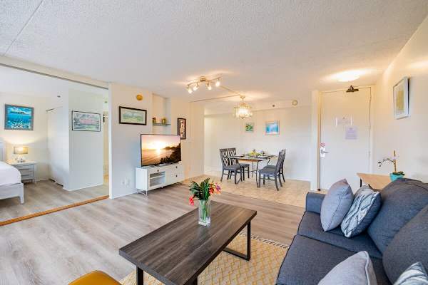 Living room with pullout sleeper sofa, TV and high-speed internet