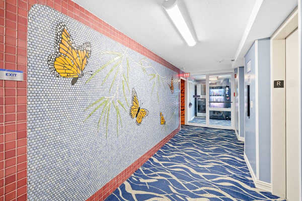 Elevator area