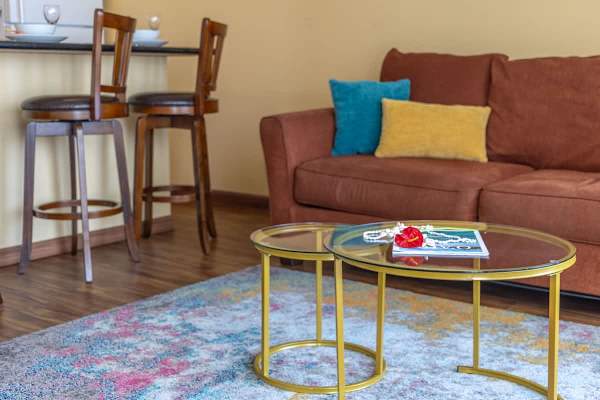 Living room with pull-out sleeper sofa and coffee table.