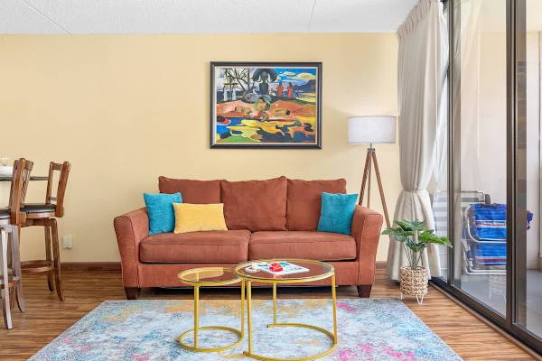 Living room with pull-out sleeper sofa and coffee table.