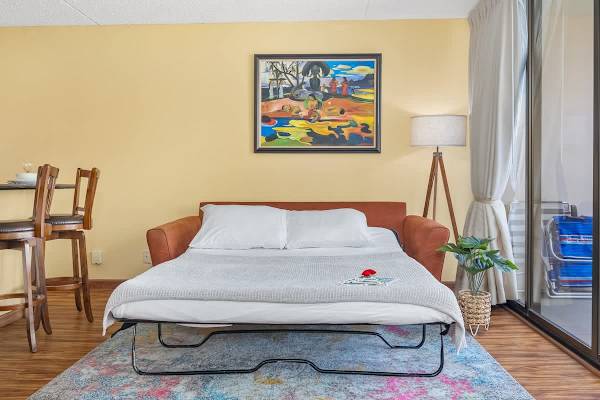 Pull-out sleeper sofa in the living room.