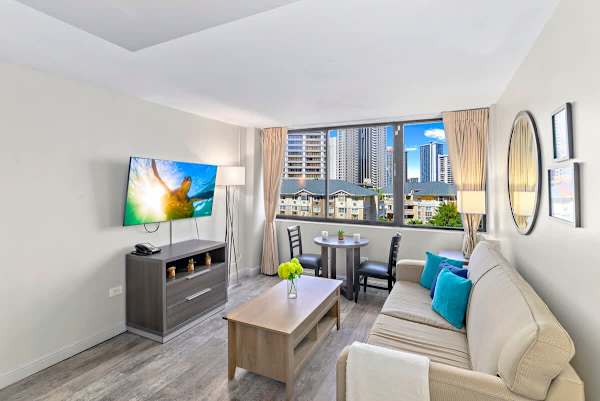 Living room with pull-sleeper sofa and flatscreen TV