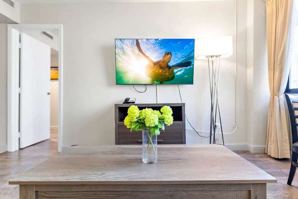 Coffee table and flatscreen TV in the living room. 