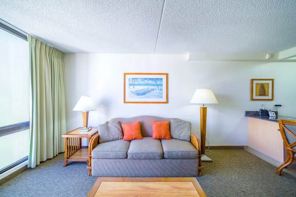 Pull-out sleeper sofa, coffee table and 2 nightstands in the living room.
