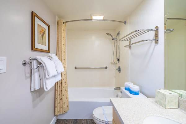 Full Bathroom with tub and shower combo