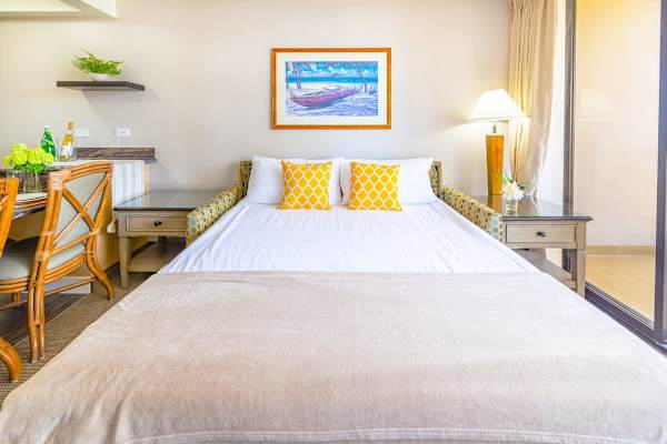 Living room with pull-out sleeper sofa  (best suited for children or occasional use; may not offer the same comfort as a regular bed for adults)