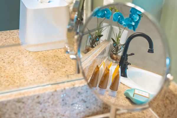 Bathroom detail