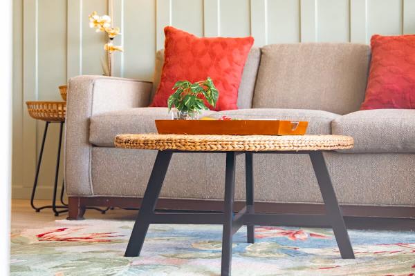 Pull-out sleeper sofa, and coffee table in the living room