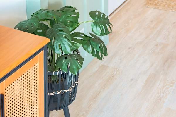Decorative details
